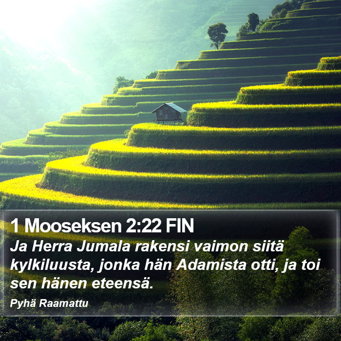 1 Mooseksen 2:22 FIN Bible Study