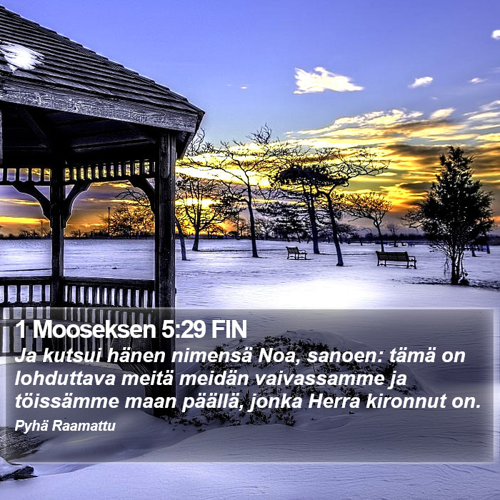 1 Mooseksen 5:29 FIN Bible Study