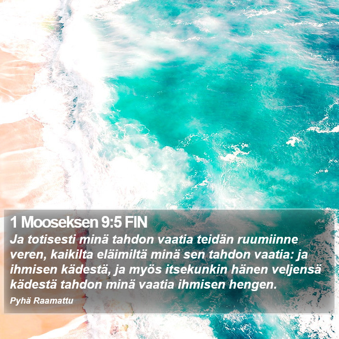 1 Mooseksen 9:5 FIN Bible Study