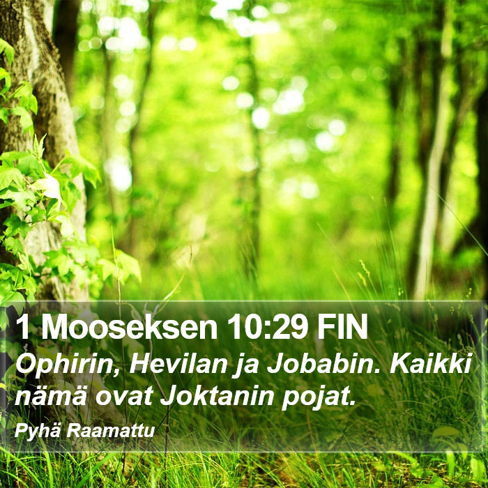 1 Mooseksen 10:29 FIN Bible Study