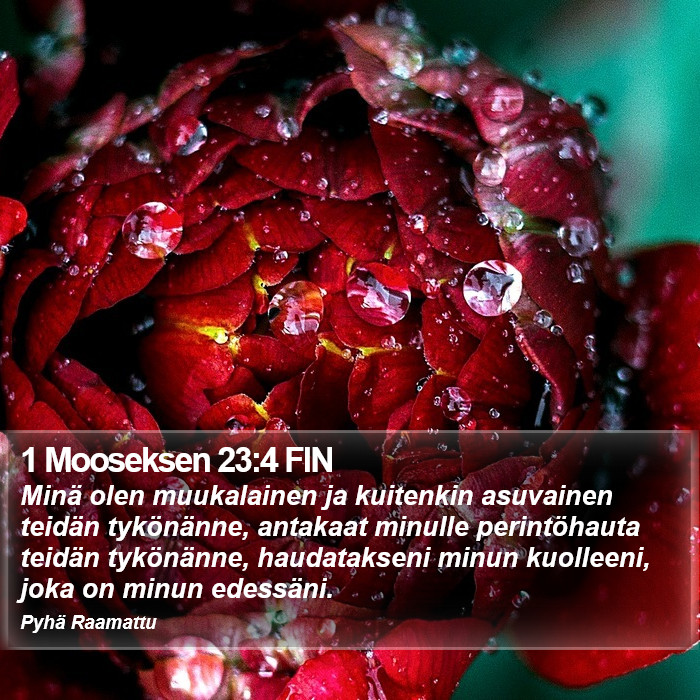 1 Mooseksen 23:4 FIN Bible Study