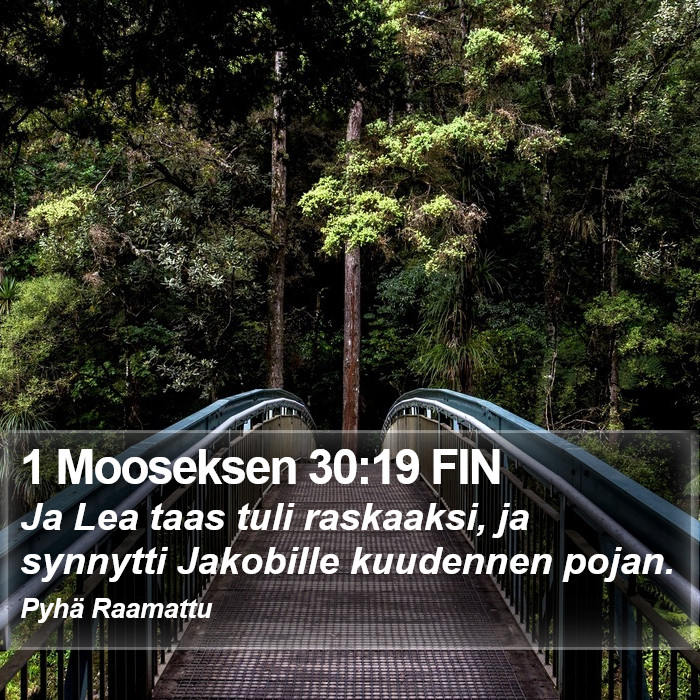 1 Mooseksen 30:19 FIN Bible Study