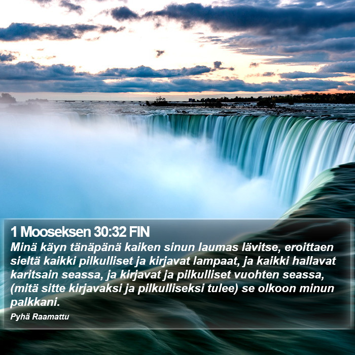 1 Mooseksen 30:32 FIN Bible Study