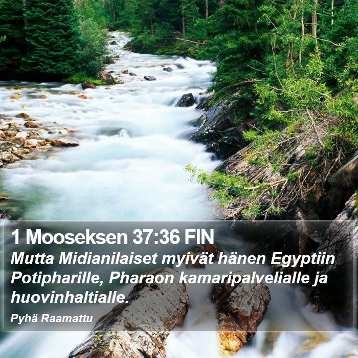1 Mooseksen 37:36 FIN Bible Study