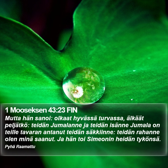 1 Mooseksen 43:23 FIN Bible Study
