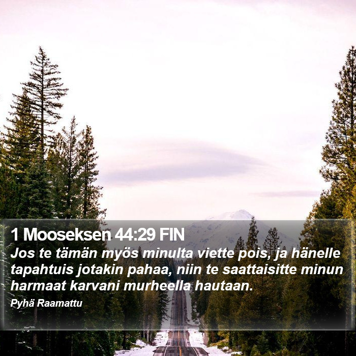 1 Mooseksen 44:29 FIN Bible Study