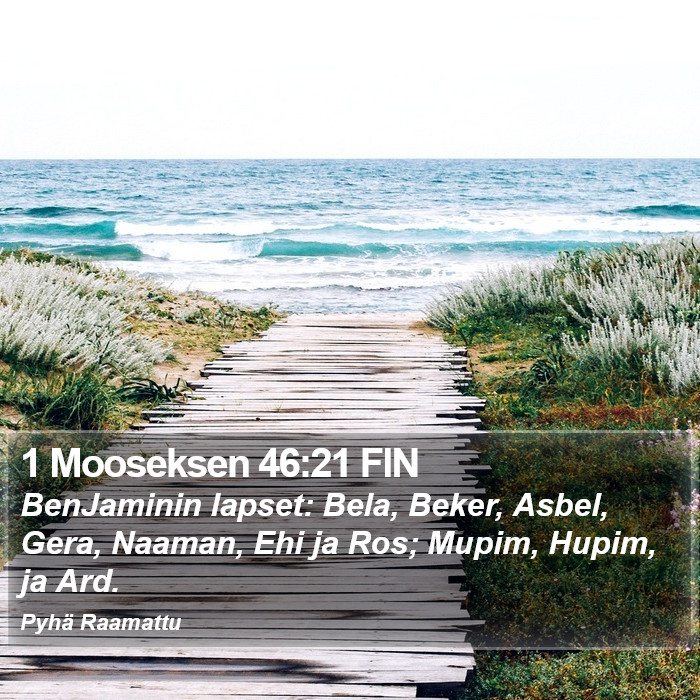 1 Mooseksen 46:21 FIN Bible Study