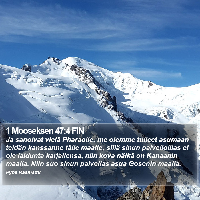 1 Mooseksen 47:4 FIN Bible Study