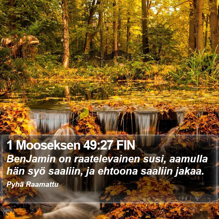 1 Mooseksen 49:27 FIN Bible Study