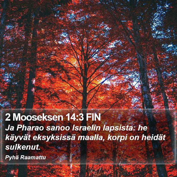 2 Mooseksen 14:3 FIN Bible Study