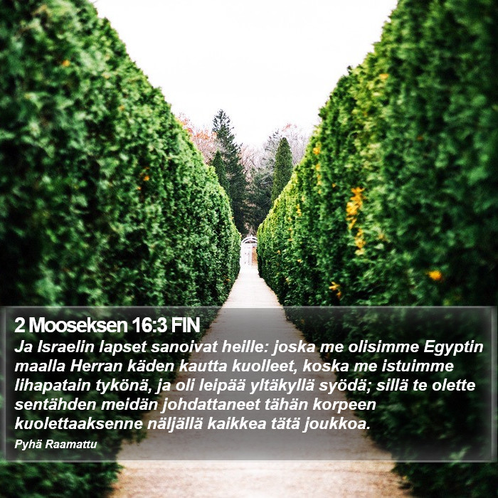 2 Mooseksen 16:3 FIN Bible Study