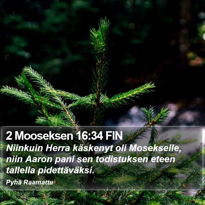 2 Mooseksen 16:34 FIN Bible Study