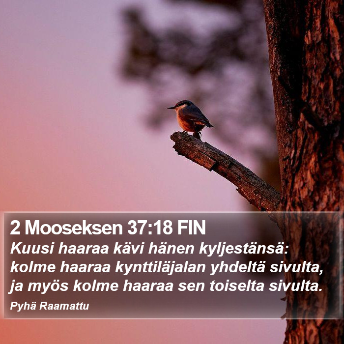 2 Mooseksen 37:18 FIN Bible Study
