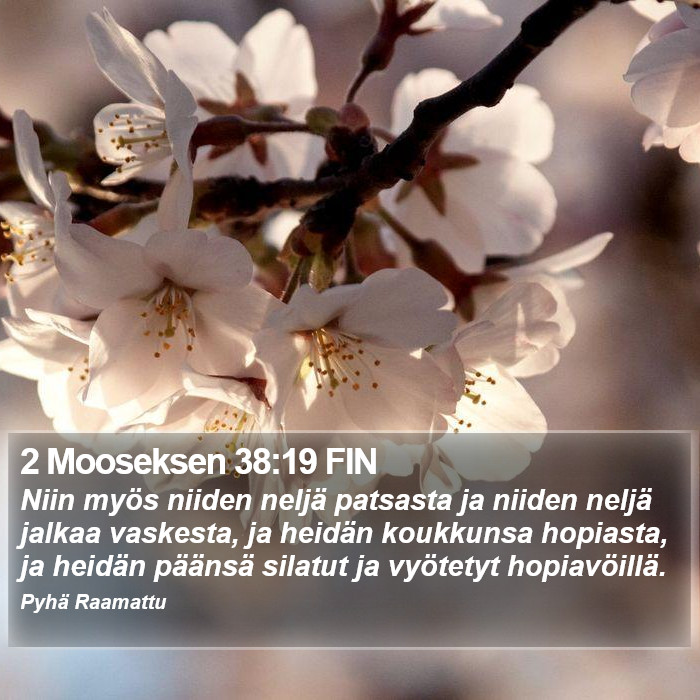 2 Mooseksen 38:19 FIN Bible Study
