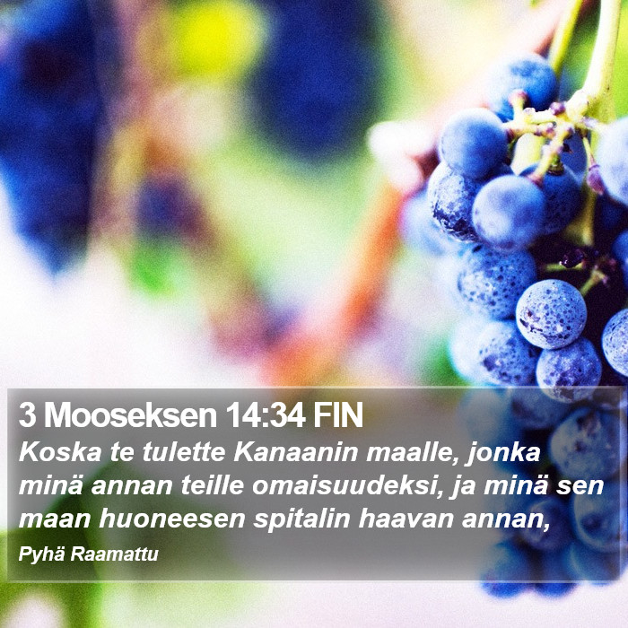 3 Mooseksen 14:34 FIN Bible Study