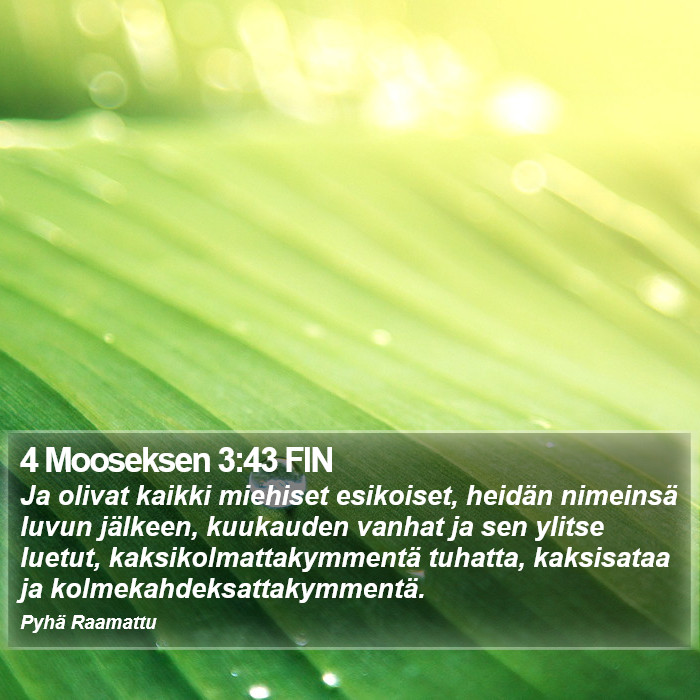 4 Mooseksen 3:43 FIN Bible Study