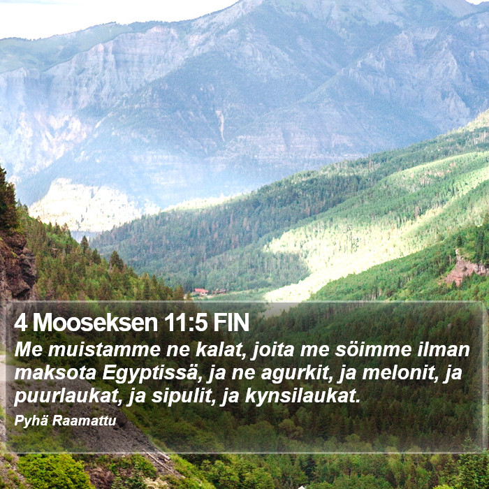 4 Mooseksen 11:5 FIN Bible Study