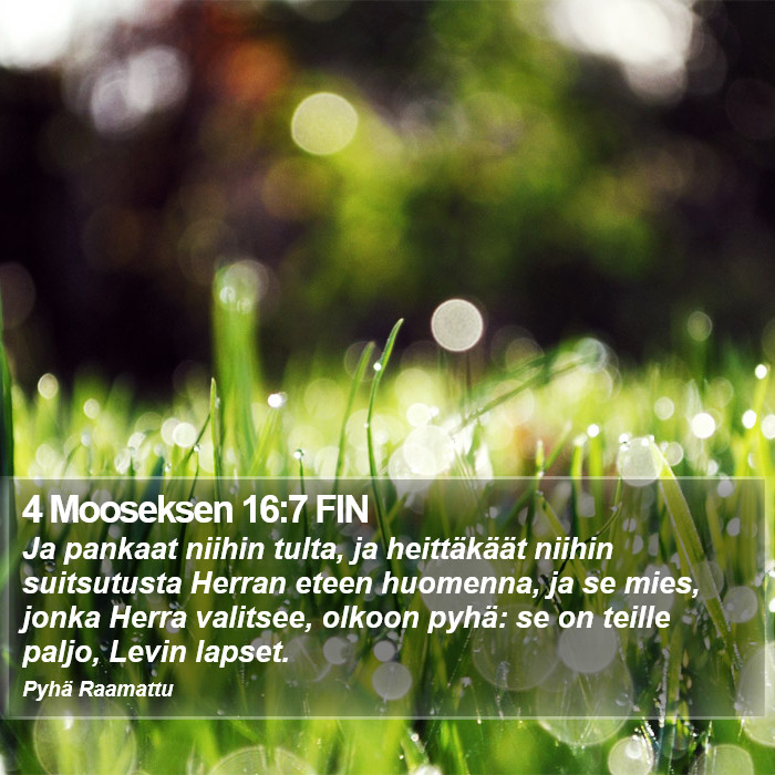 4 Mooseksen 16:7 FIN Bible Study
