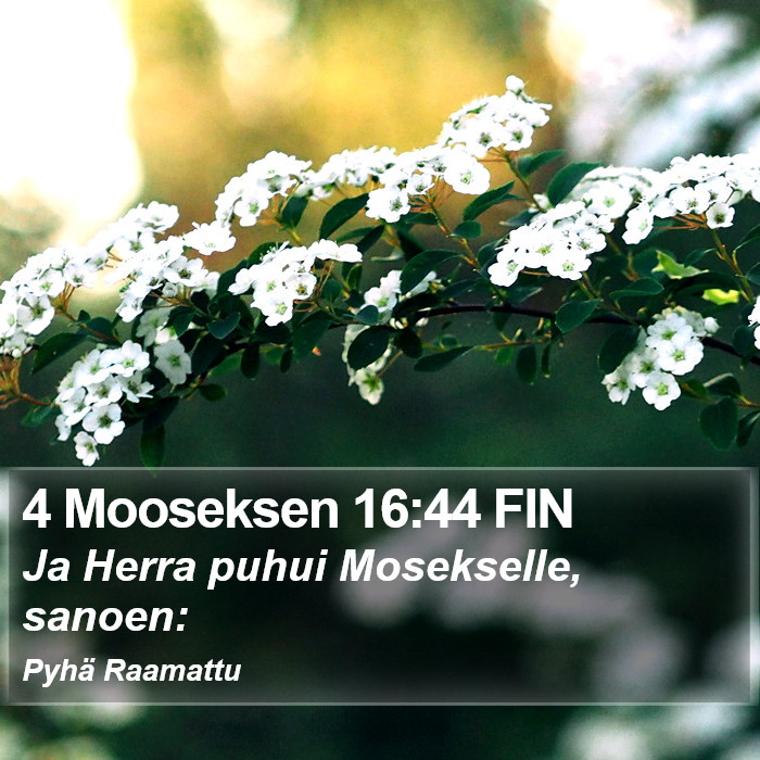 4 Mooseksen 16:44 FIN Bible Study