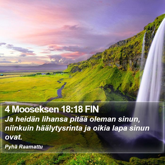 4 Mooseksen 18:18 FIN Bible Study