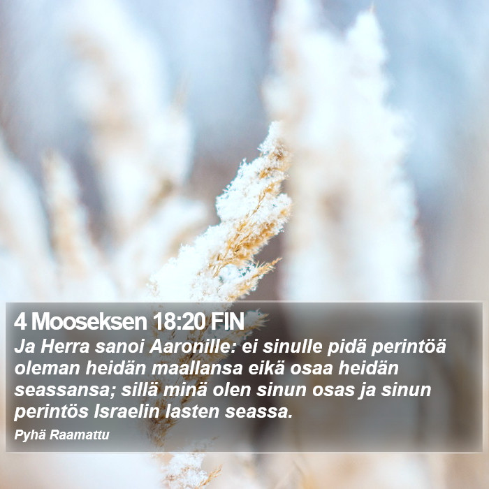 4 Mooseksen 18:20 FIN Bible Study
