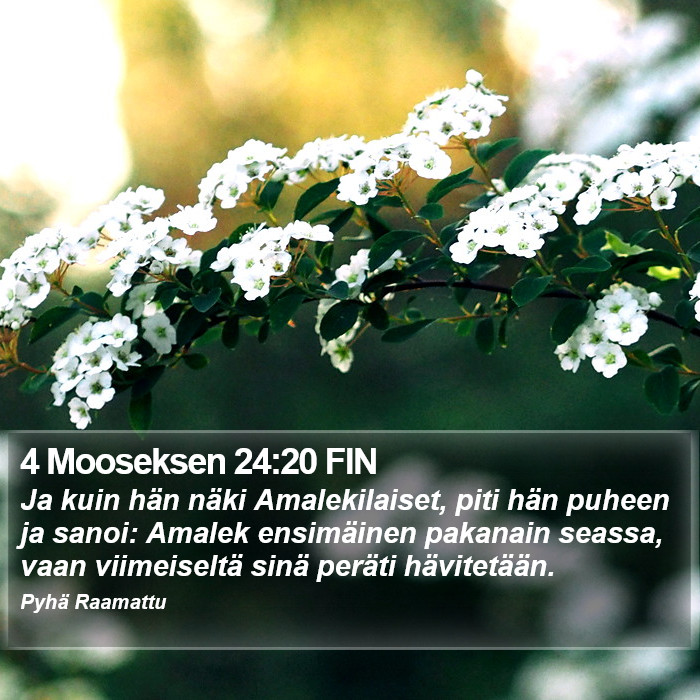 4 Mooseksen 24:20 FIN Bible Study