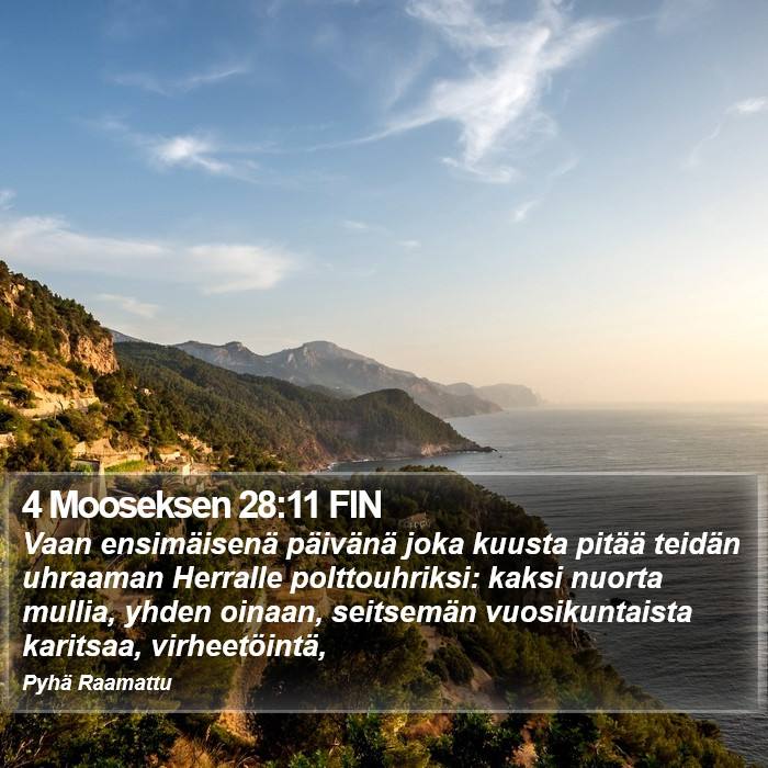 4 Mooseksen 28:11 FIN Bible Study