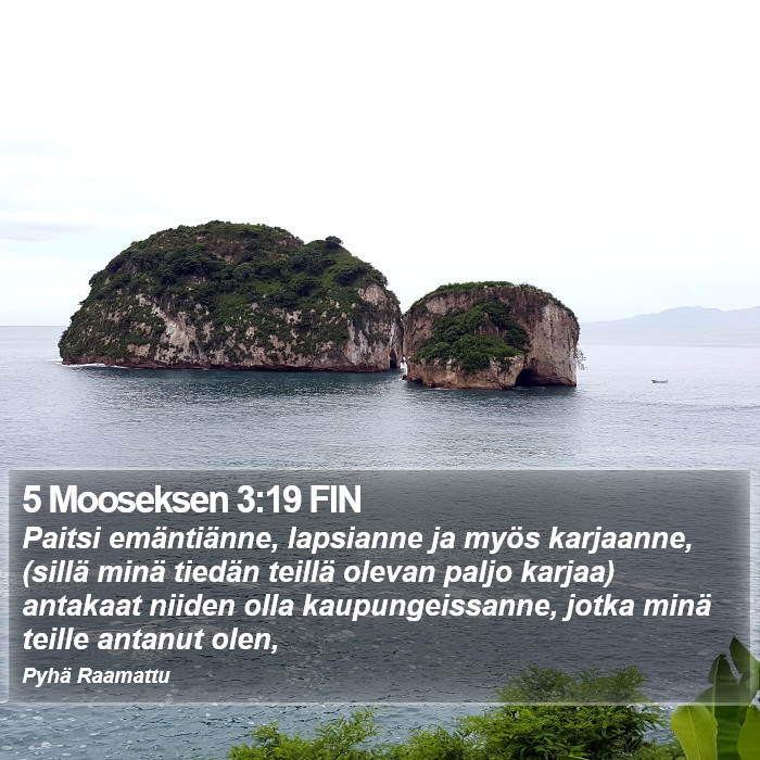 5 Mooseksen 3:19 FIN Bible Study
