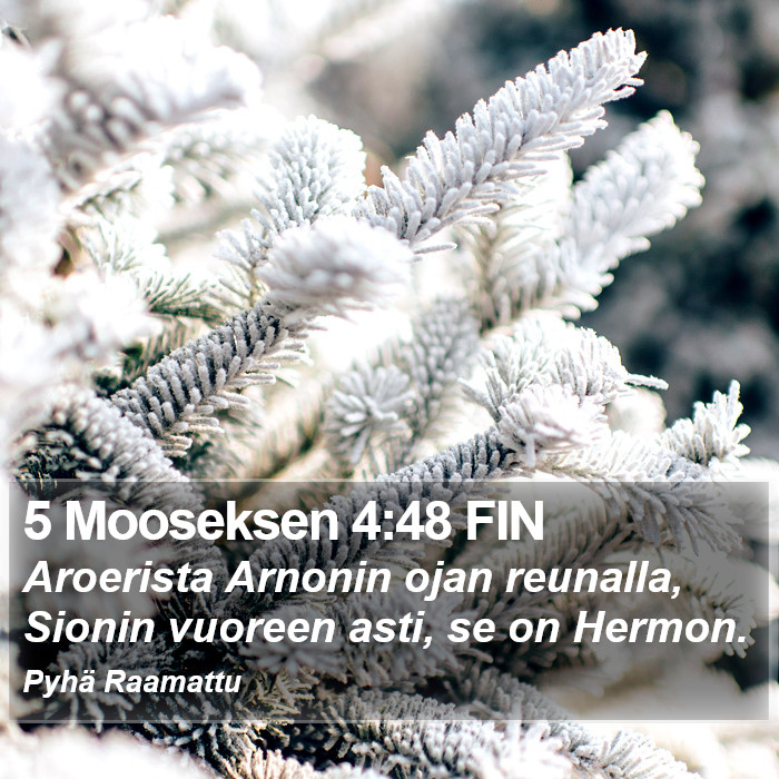 5 Mooseksen 4:48 FIN Bible Study