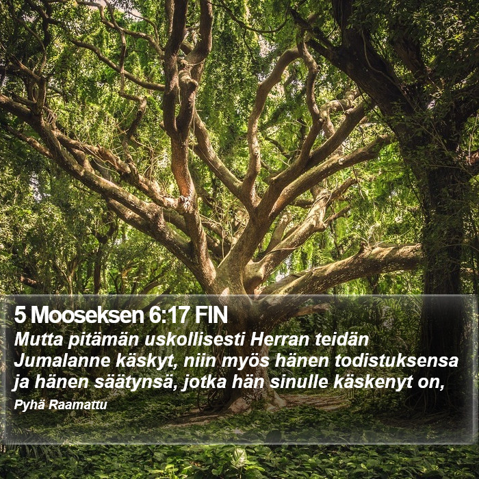 5 Mooseksen 6:17 FIN Bible Study