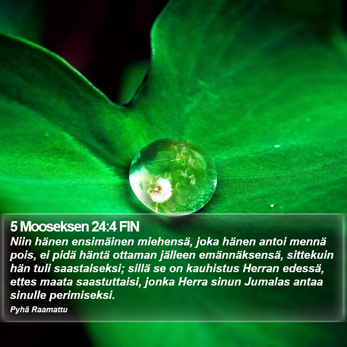 5 Mooseksen 24:4 FIN Bible Study