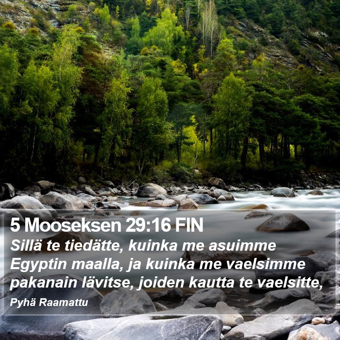 5 Mooseksen 29:16 FIN Bible Study