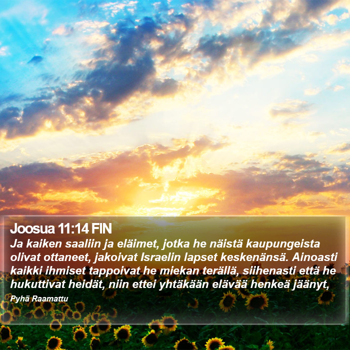 Joosua 11:14 FIN Bible Study