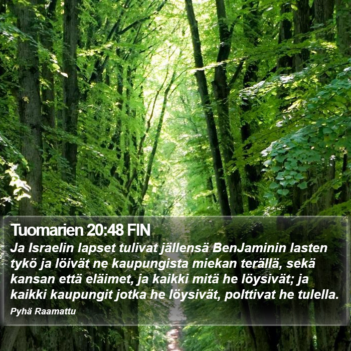 Tuomarien 20:48 FIN Bible Study