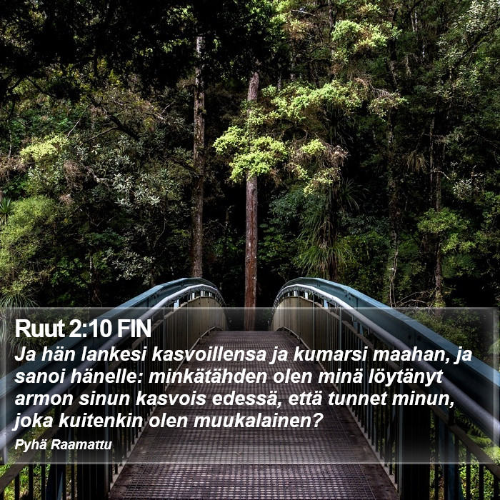 Ruut 2:10 FIN Bible Study