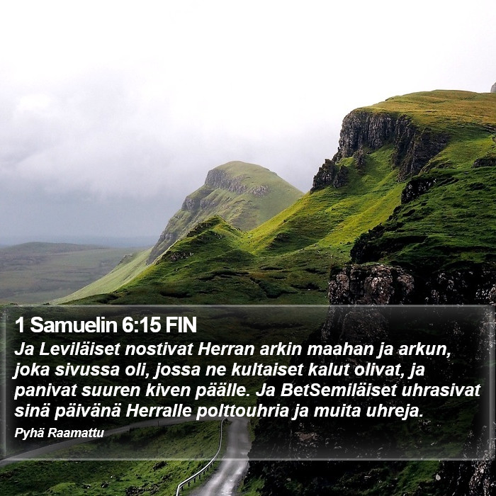 1 Samuelin 6:15 FIN Bible Study