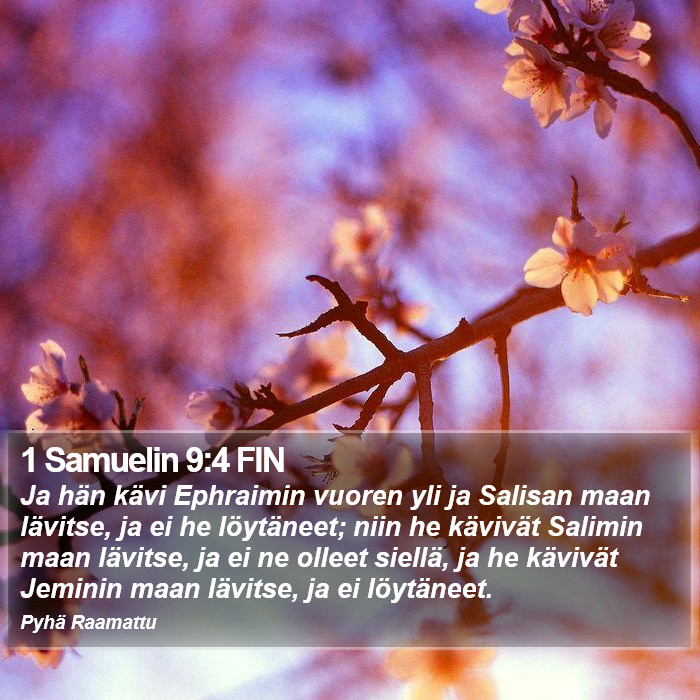 1 Samuelin 9:4 FIN Bible Study