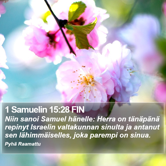 1 Samuelin 15:28 FIN Bible Study