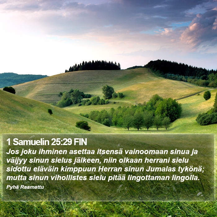 1 Samuelin 25:29 FIN Bible Study