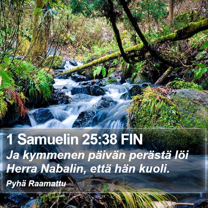 1 Samuelin 25:38 FIN Bible Study