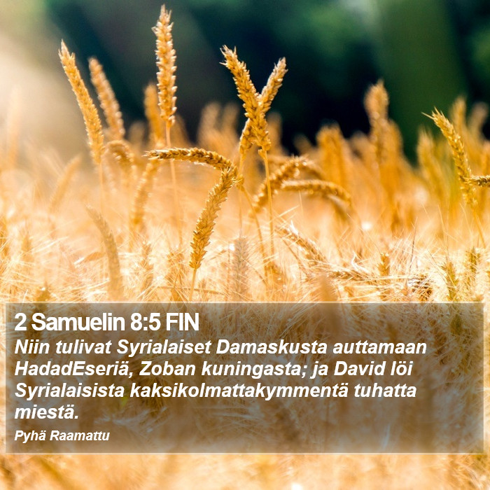 2 Samuelin 8:5 FIN Bible Study