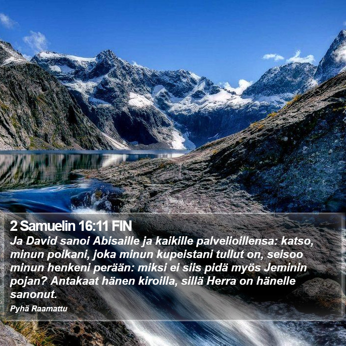 2 Samuelin 16:11 FIN Bible Study