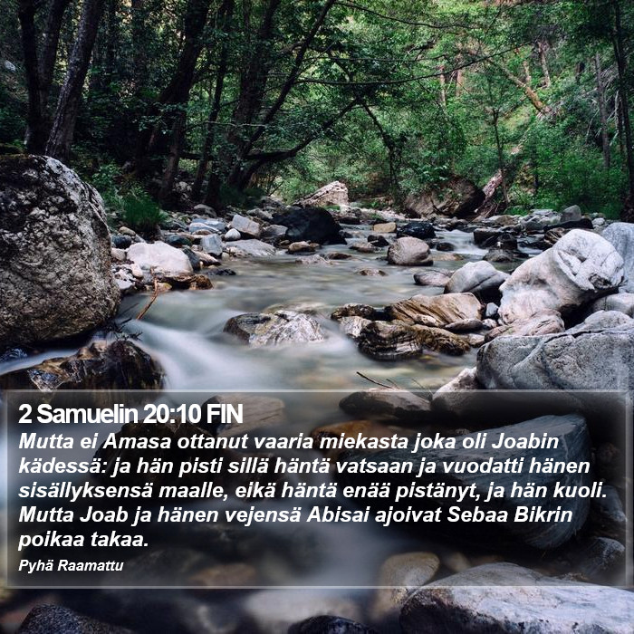 2 Samuelin 20:10 FIN Bible Study