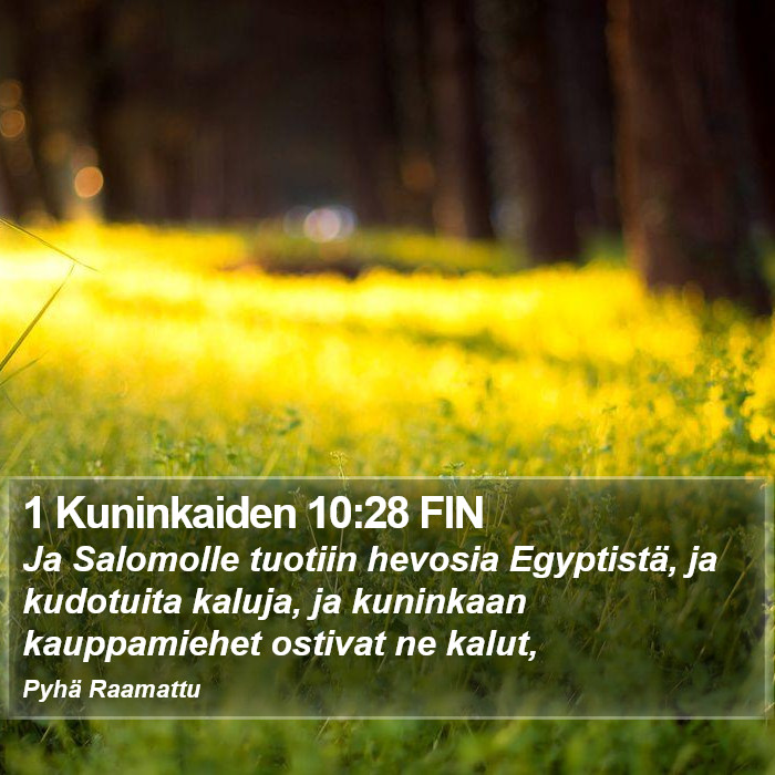 1 Kuninkaiden 10:28 FIN Bible Study