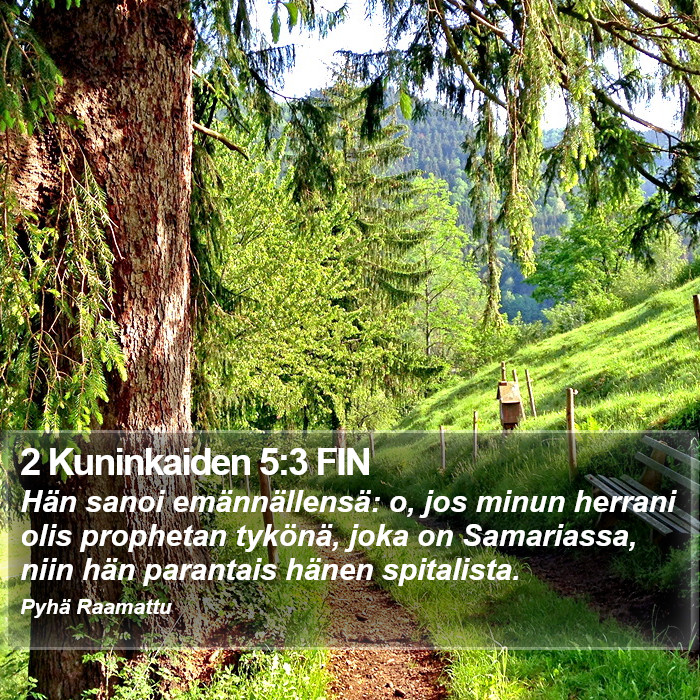 2 Kuninkaiden 5:3 FIN Bible Study