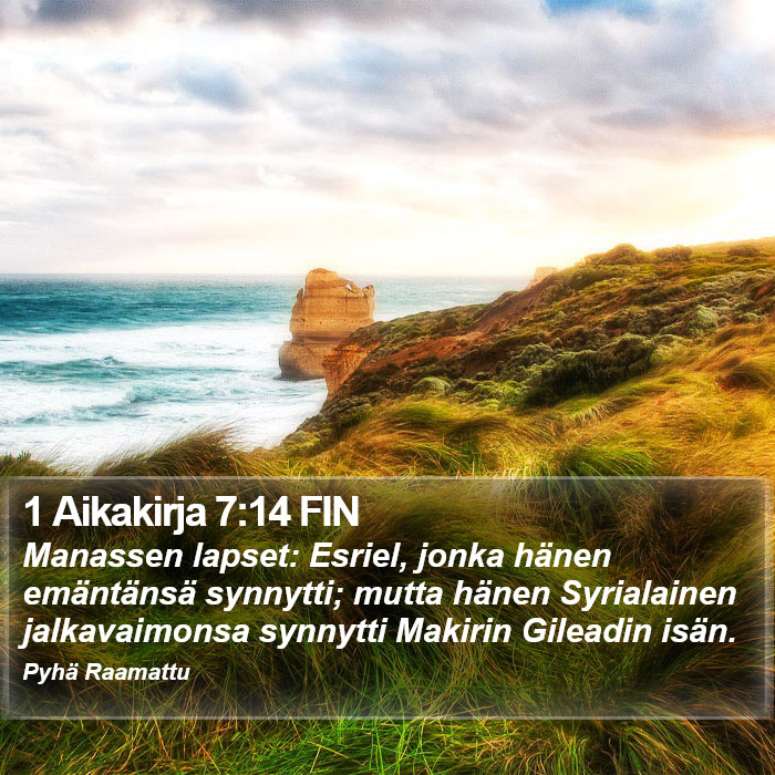 1 Aikakirja 7:14 FIN Bible Study