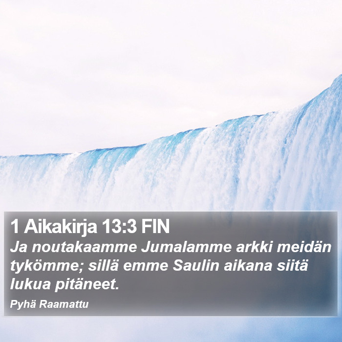 1 Aikakirja 13:3 FIN Bible Study