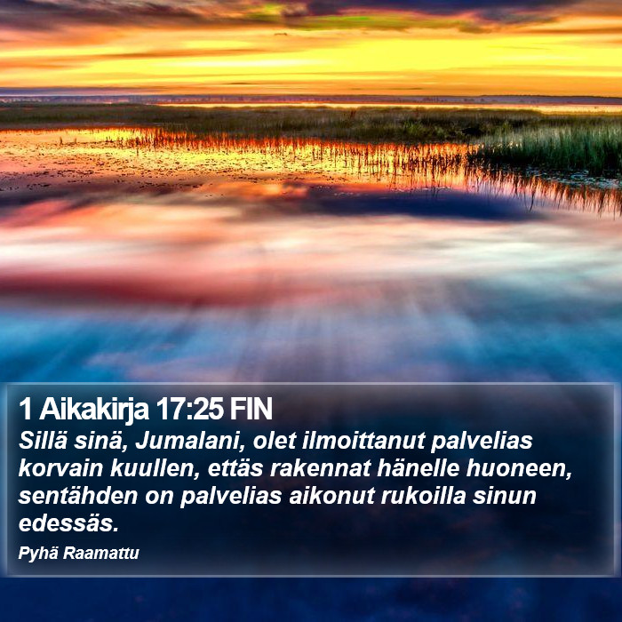 1 Aikakirja 17:25 FIN Bible Study