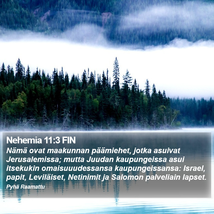 Nehemia 11:3 FIN Bible Study