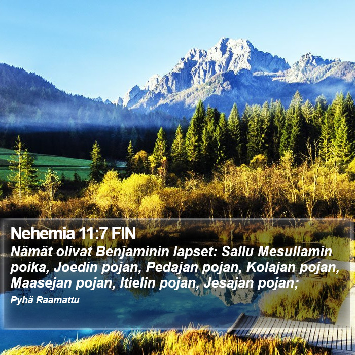 Nehemia 11:7 FIN Bible Study